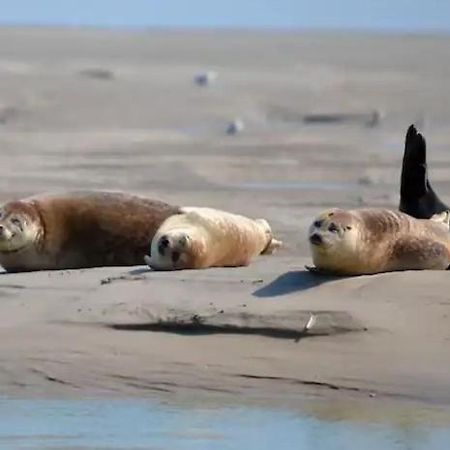 Gite Escale Oceania En Baie De Somme A Ault, 50M De La Mer Bagian luar foto